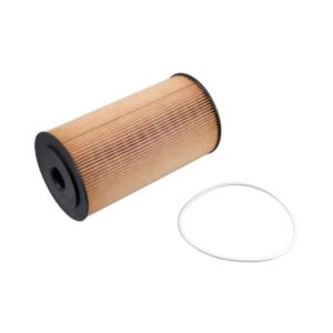 INS.OFL.0081 Oil Filter