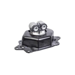 Engine mounting, rear