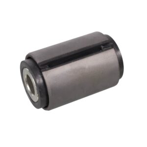 Rubber bushing, leaf spring
